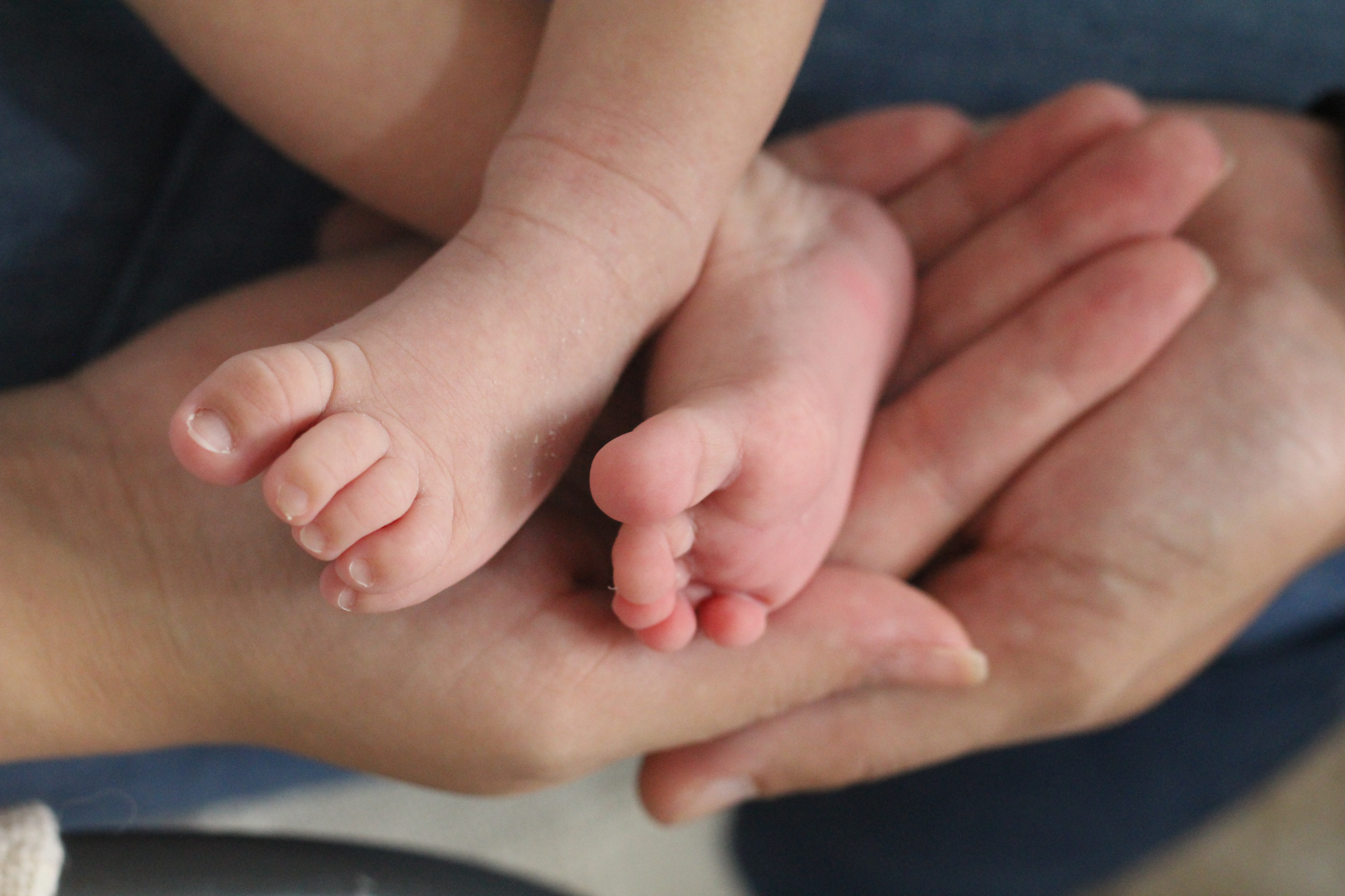 Ensaio de Acompanhamento